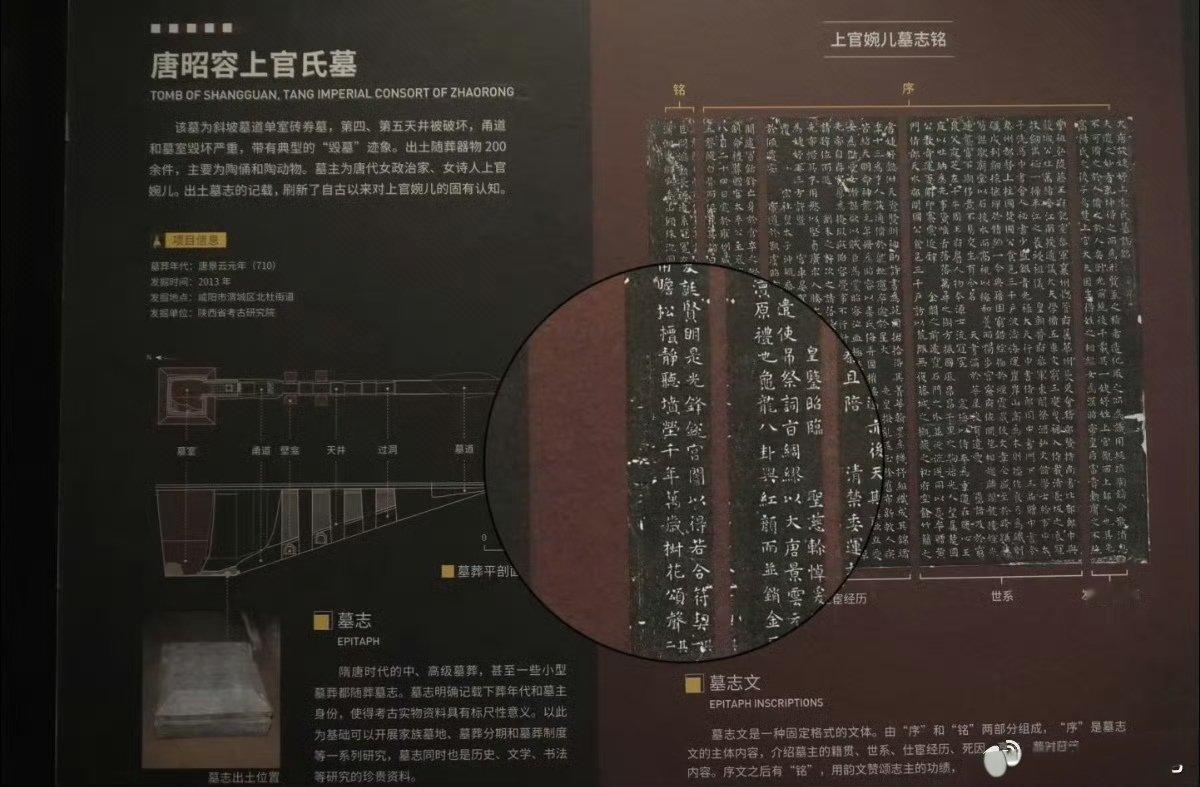 帝王家知己太难求，墓碑都藏着温柔守护， 宫廷里的知己，刀光里的同盟啊泪目了