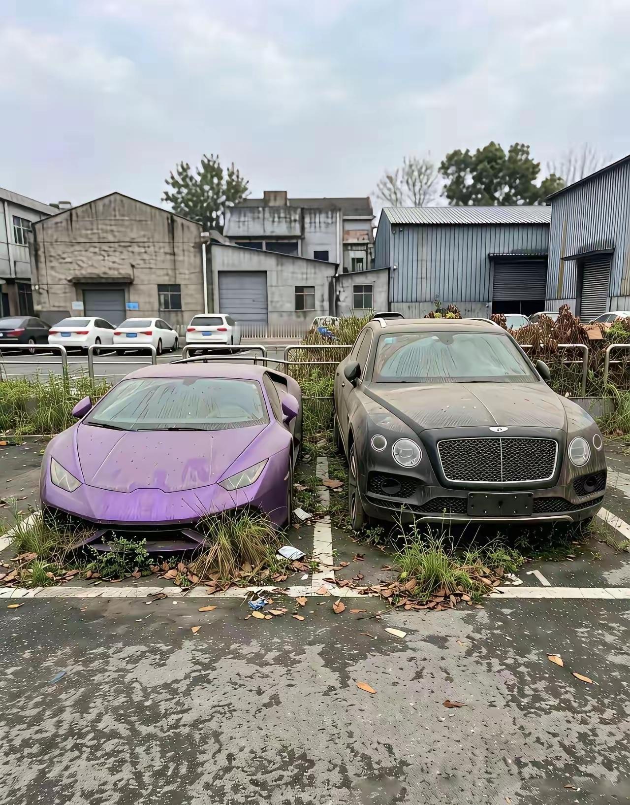 这种情况，我猜想大概率车主是下去了吧