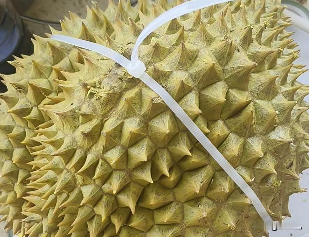 麦家：
年少懵懂仓促抉择，
人到中年幡然醒悟，
青春已成过往，
遗憾无法回头。