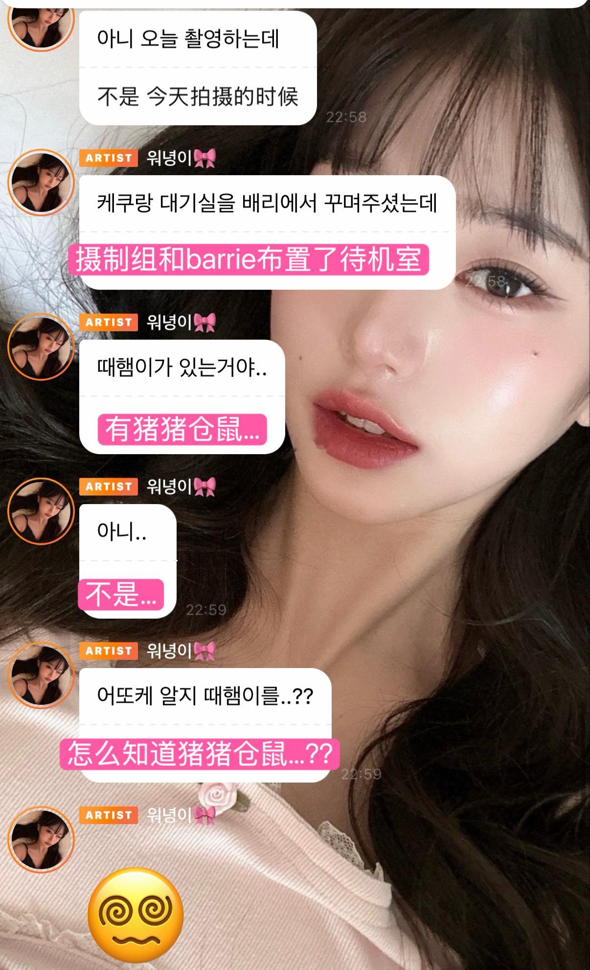 我不行了韩粉的猪猪仓鼠塑被认证了