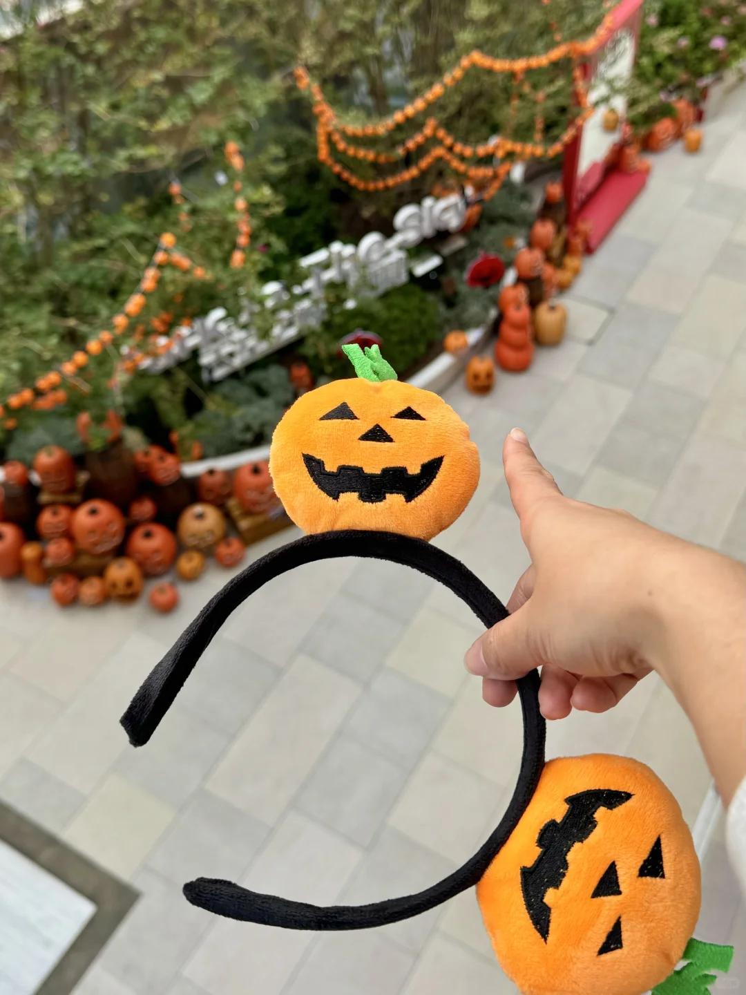 青岛万象城。。。免费送🎃！！！！