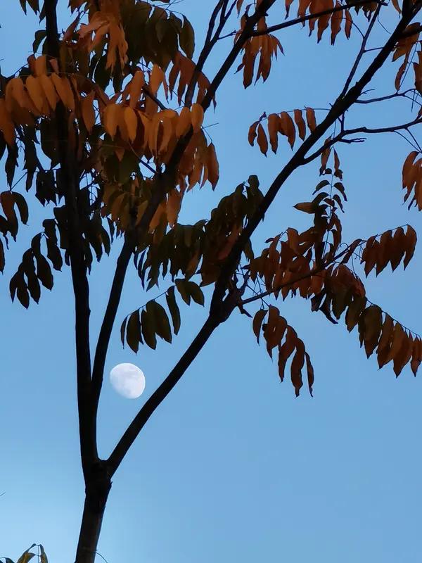 上联：秋月澄明映玉盘；念姐邀对冬日阳光暖人身