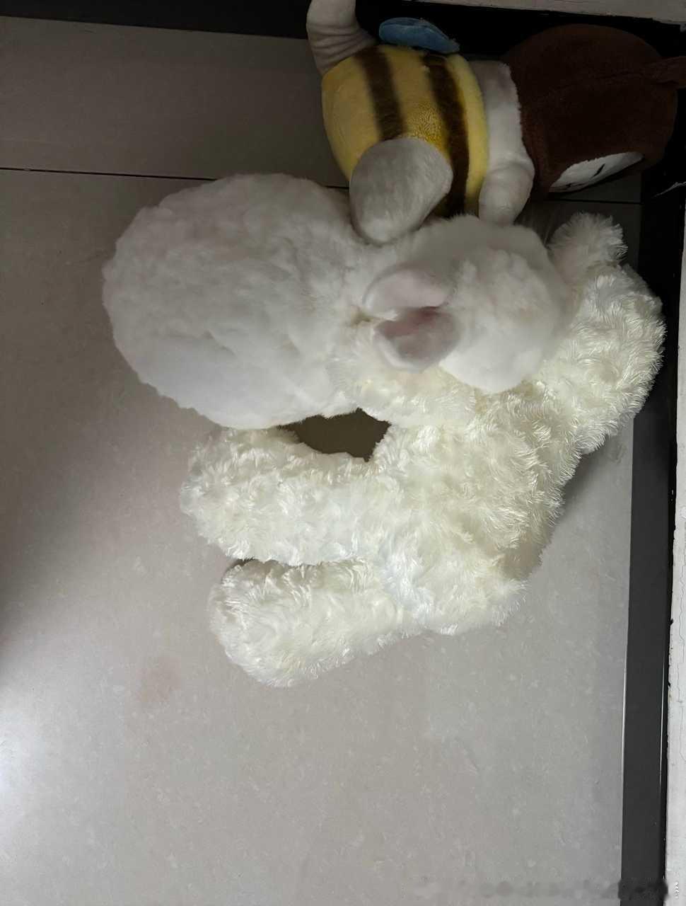 14215🐇【】姨姨们看清楚，要哪一只 