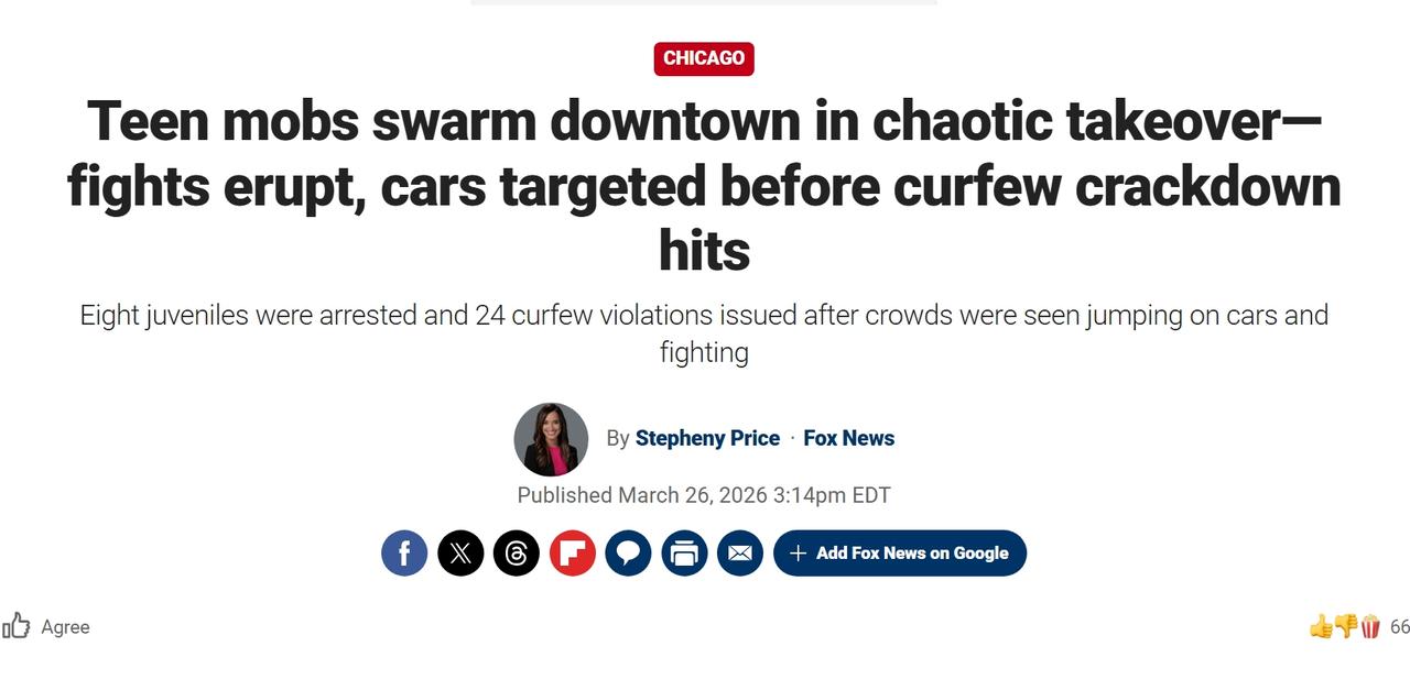 美国芝加哥发生大规模青少年骚乱，引发宵禁
当地时间周三晚上，芝加哥市中心一大批青