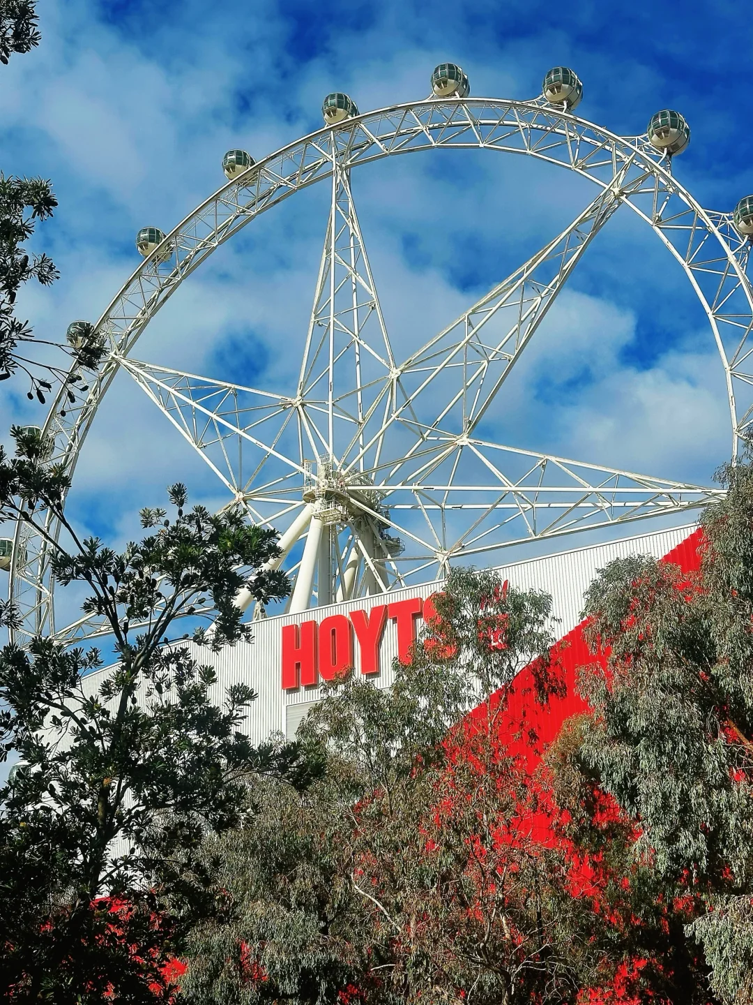 手机里的照片库存2024年6-7月