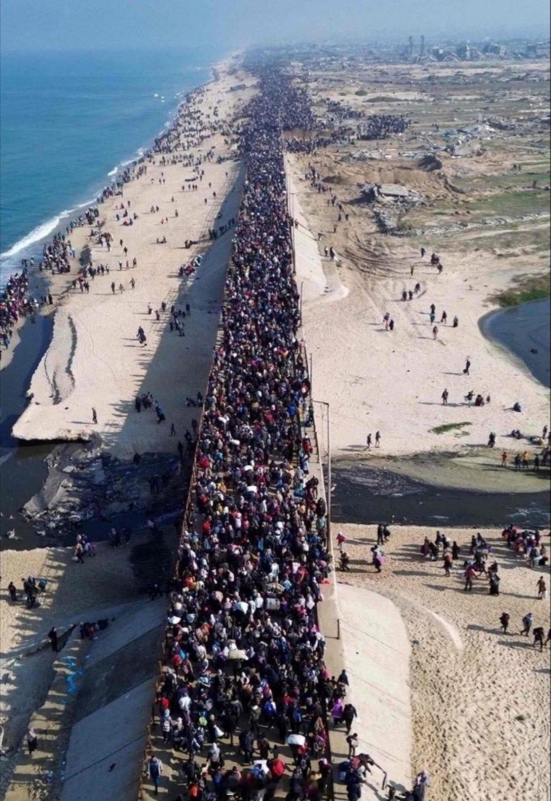 大批加沙民众回家返回加沙的人流，浩浩荡荡 ​​​
