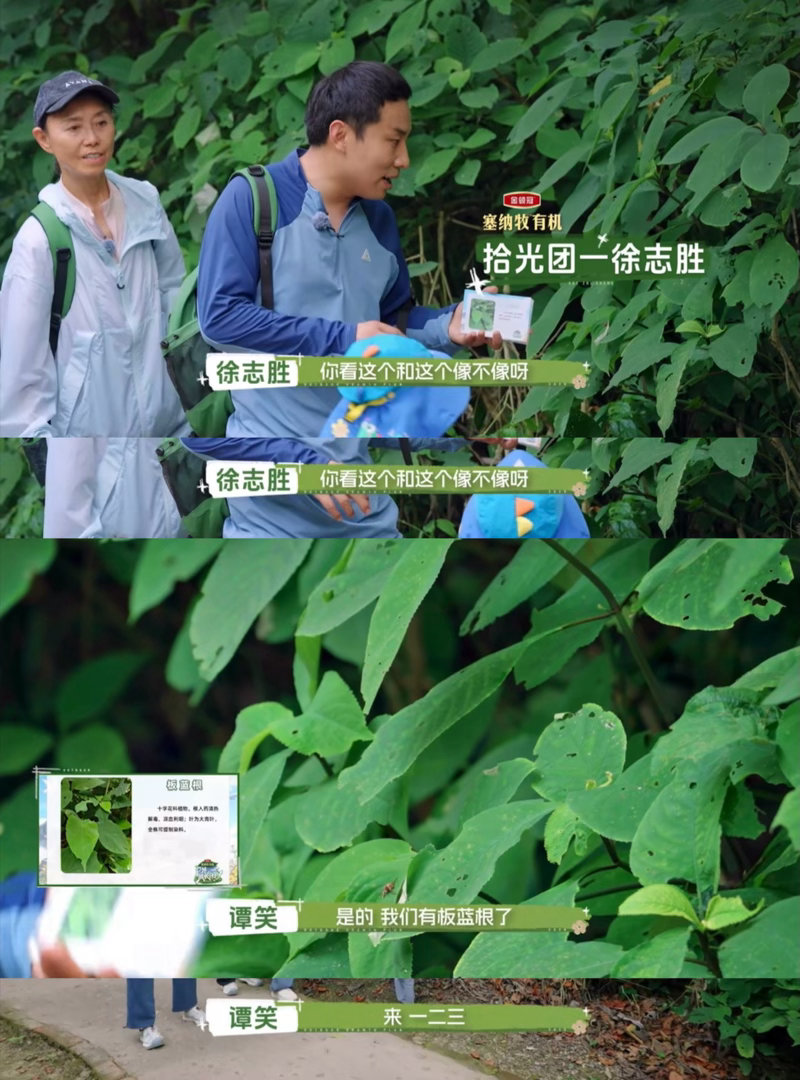 大人教孩子诚实自己却抄近道 黑板胶布就在那，谁都会犹豫一下。徐志胜撕了，弹幕笑了