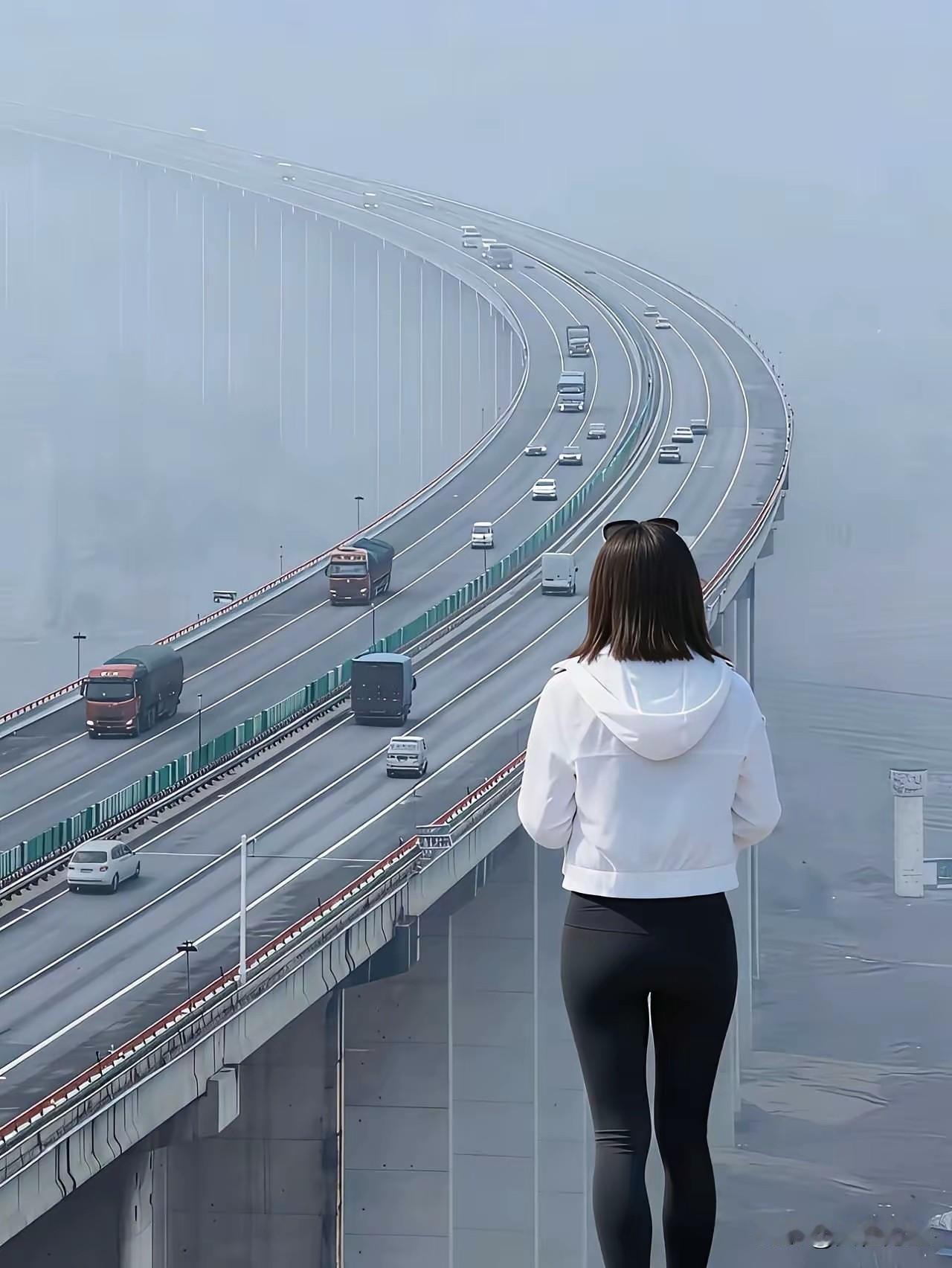 这是哪个大桥，看着好雄伟？