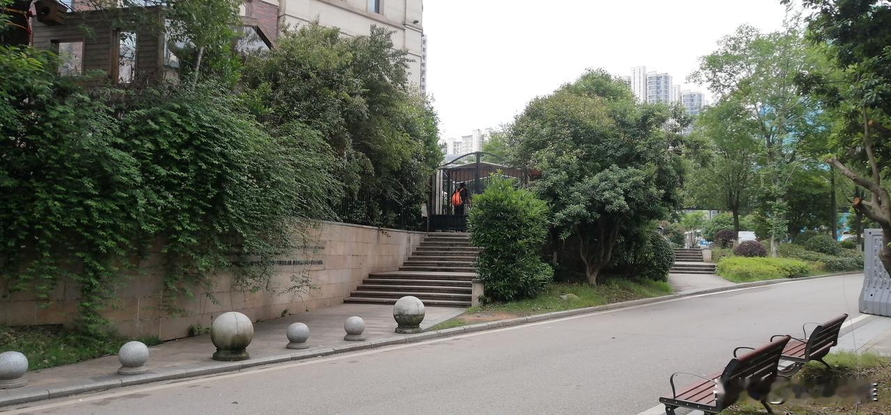 我有一个习惯，坚持了好几十年，那就是每天必须要睡午觉。
上班的时侯，睡午觉是个奢