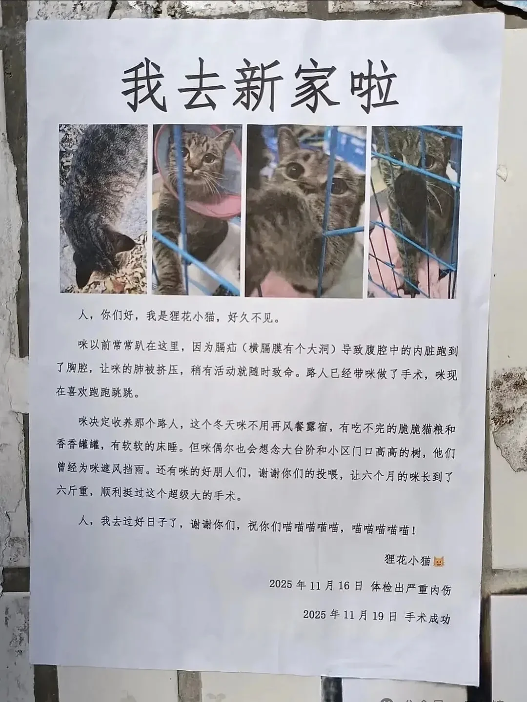 这才是世界该有的善意！🥹