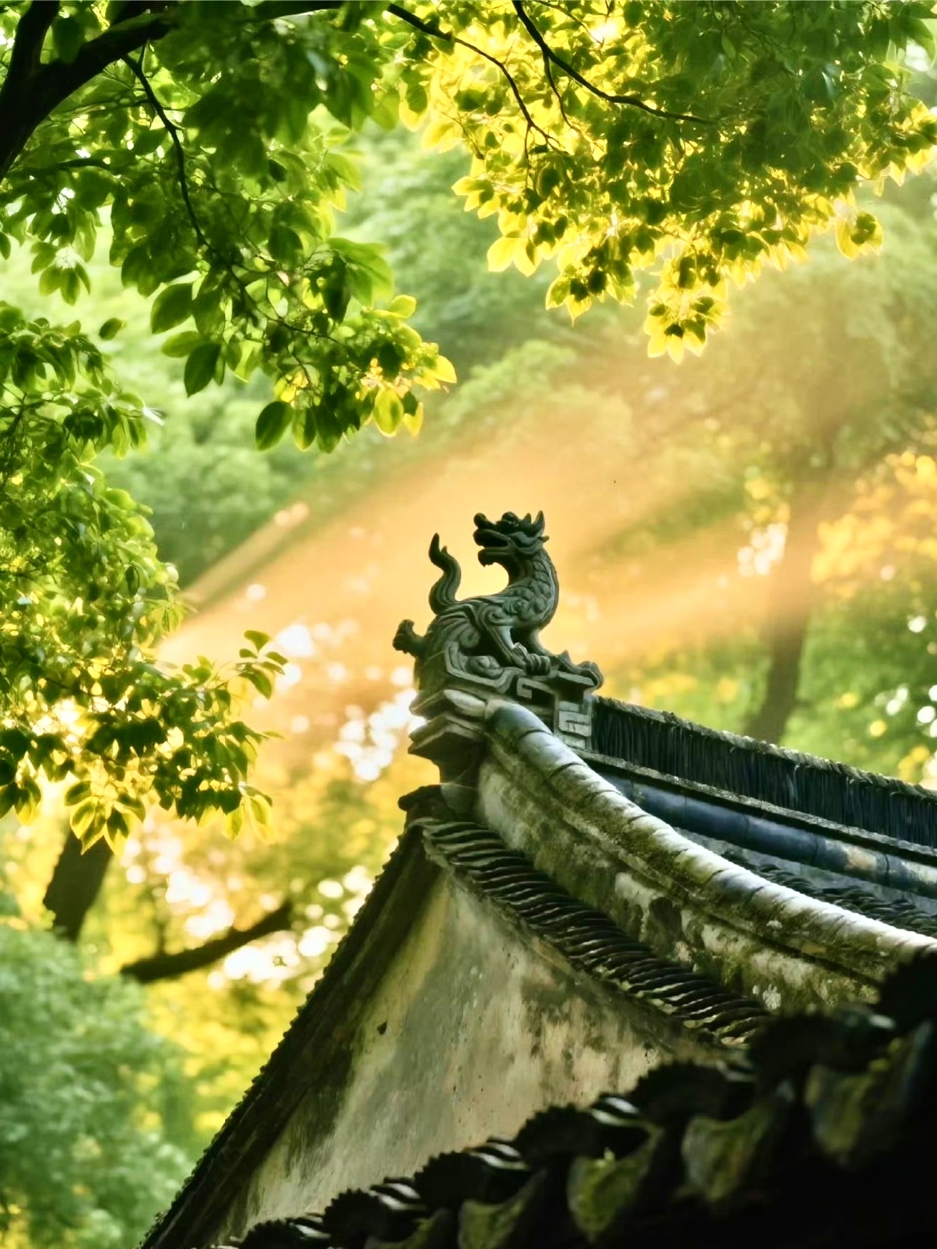 北京彩虹生活的魅力就在于，能否把希望成为一生的灯塔，就算和美好还有一段距离，但是