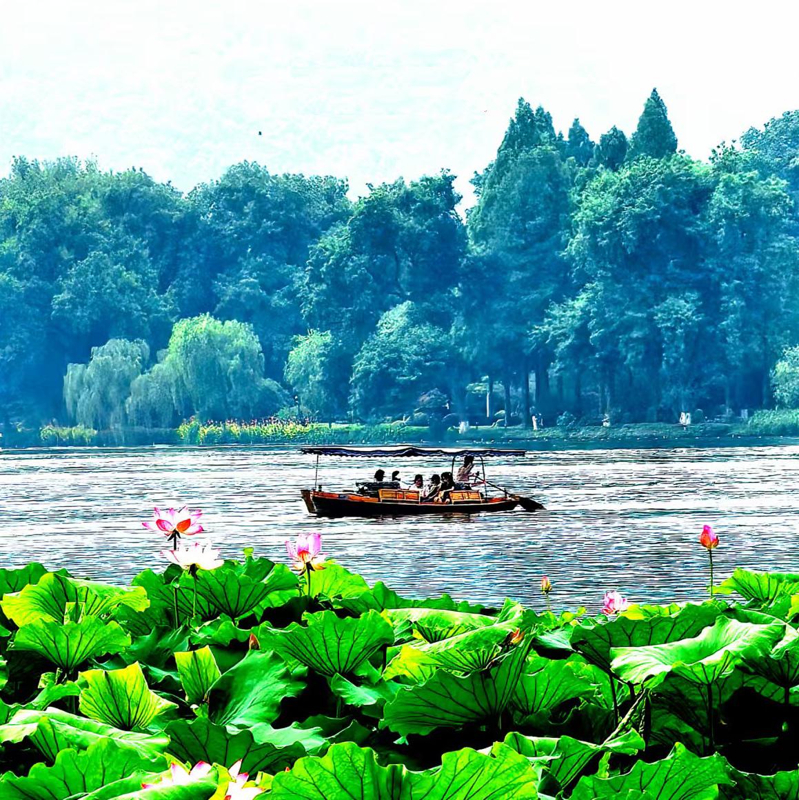 晨曦中的荷塘夏色……