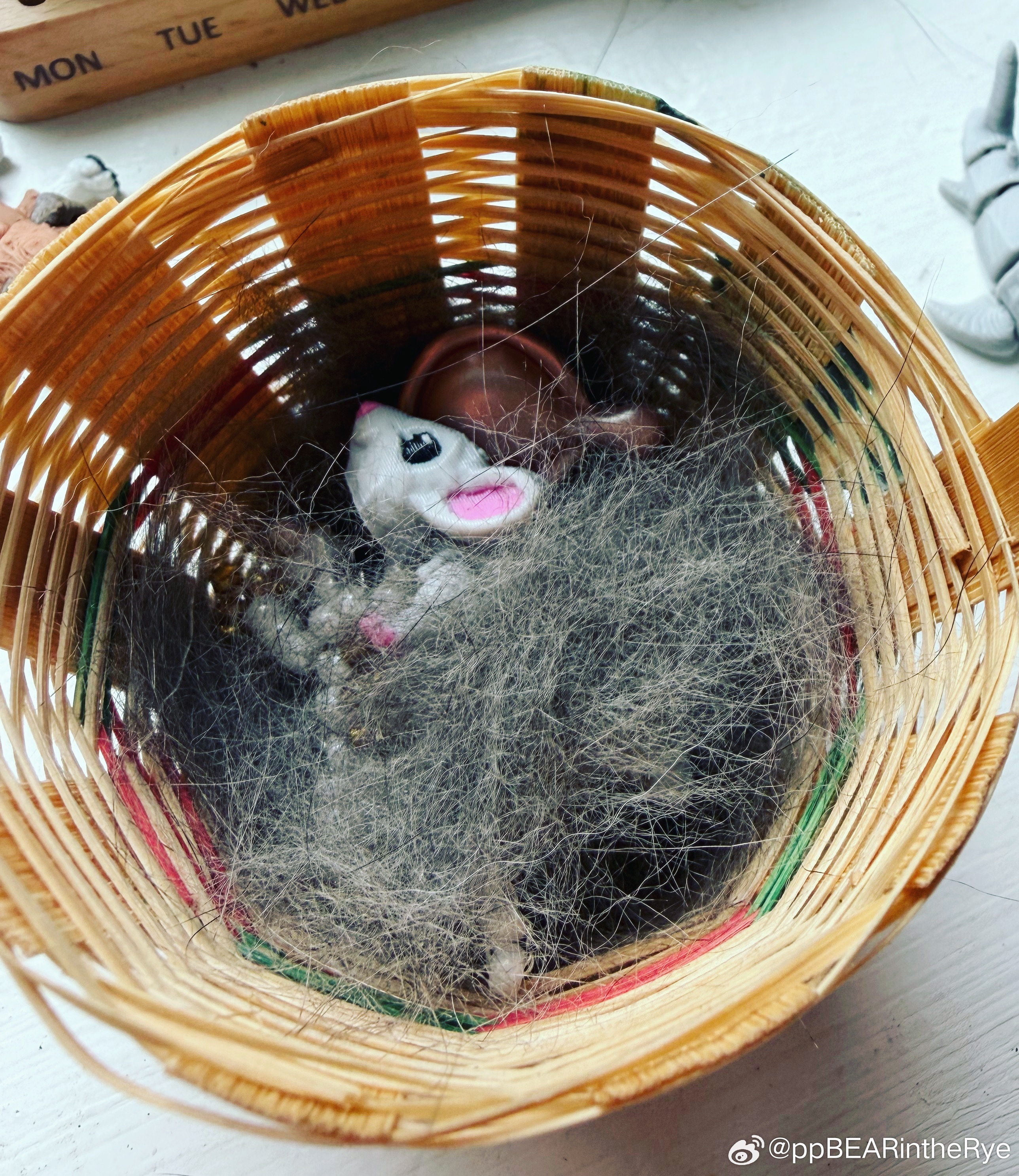 我就说妞妞这几天怎么这么殷勤地给小猫梳毛。原来梳下来的毛都被她用来给这些3D打印