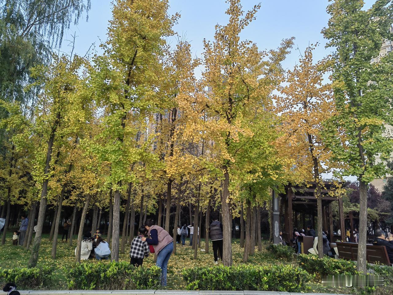 外甥女已经28岁了还没有男朋友，作为她的小姨，我很是着急，但她的妈妈，我的姐姐，