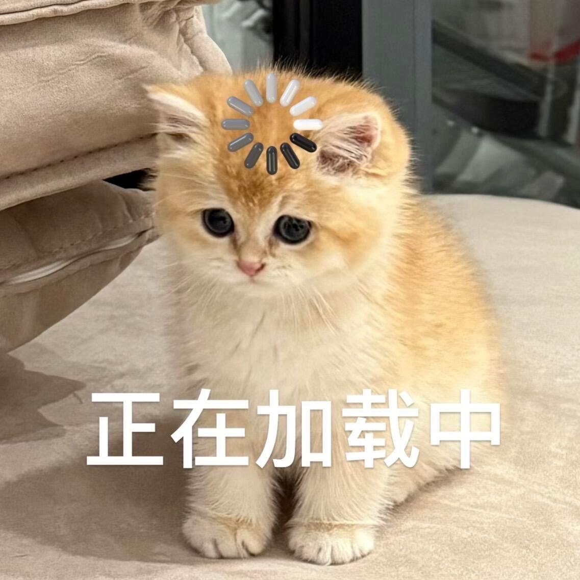 普通人一生的收入 35要是失业了呢 