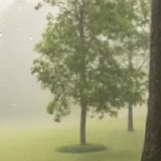 温柔以待，善意相伴，便是对生活最好的回应。每日留一份善念在心底，付诸一份善举在日