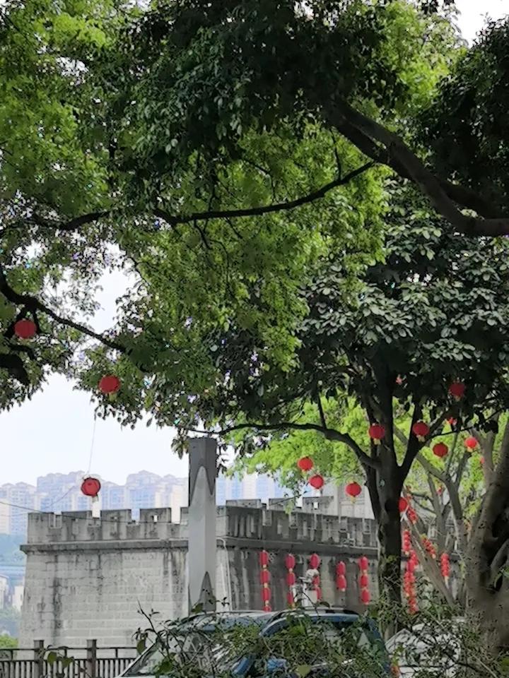 风的去处：城市褶皱中的微观诗学与权力寓言

——评游明刚的同名短诗

     