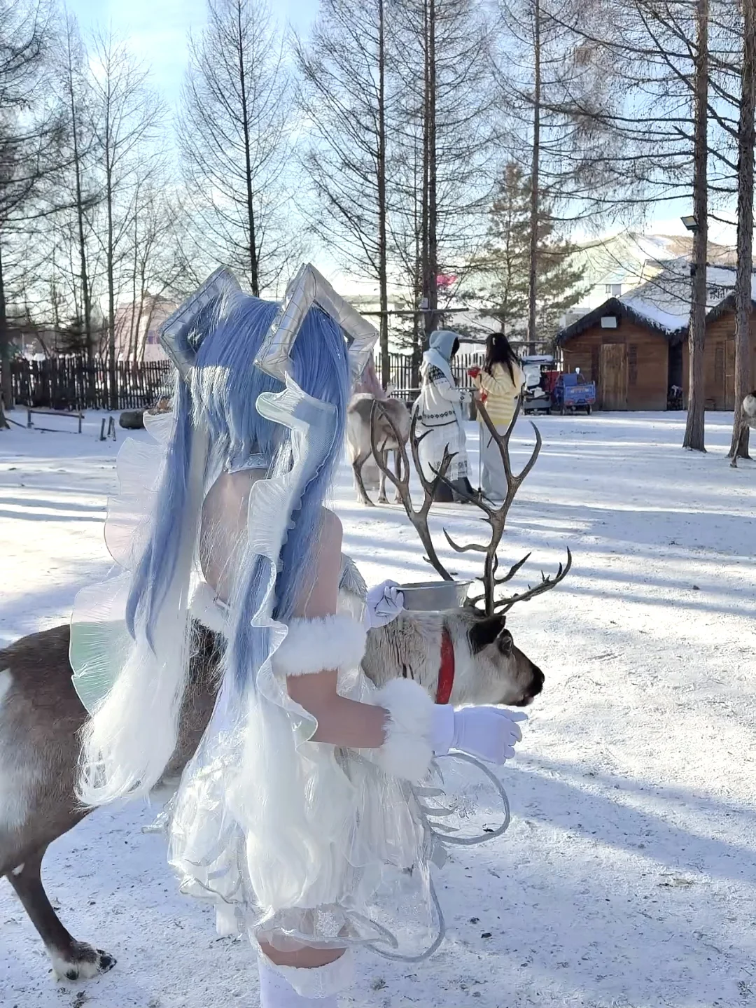 在长白山的驯鹿园拍出了人生cos照！