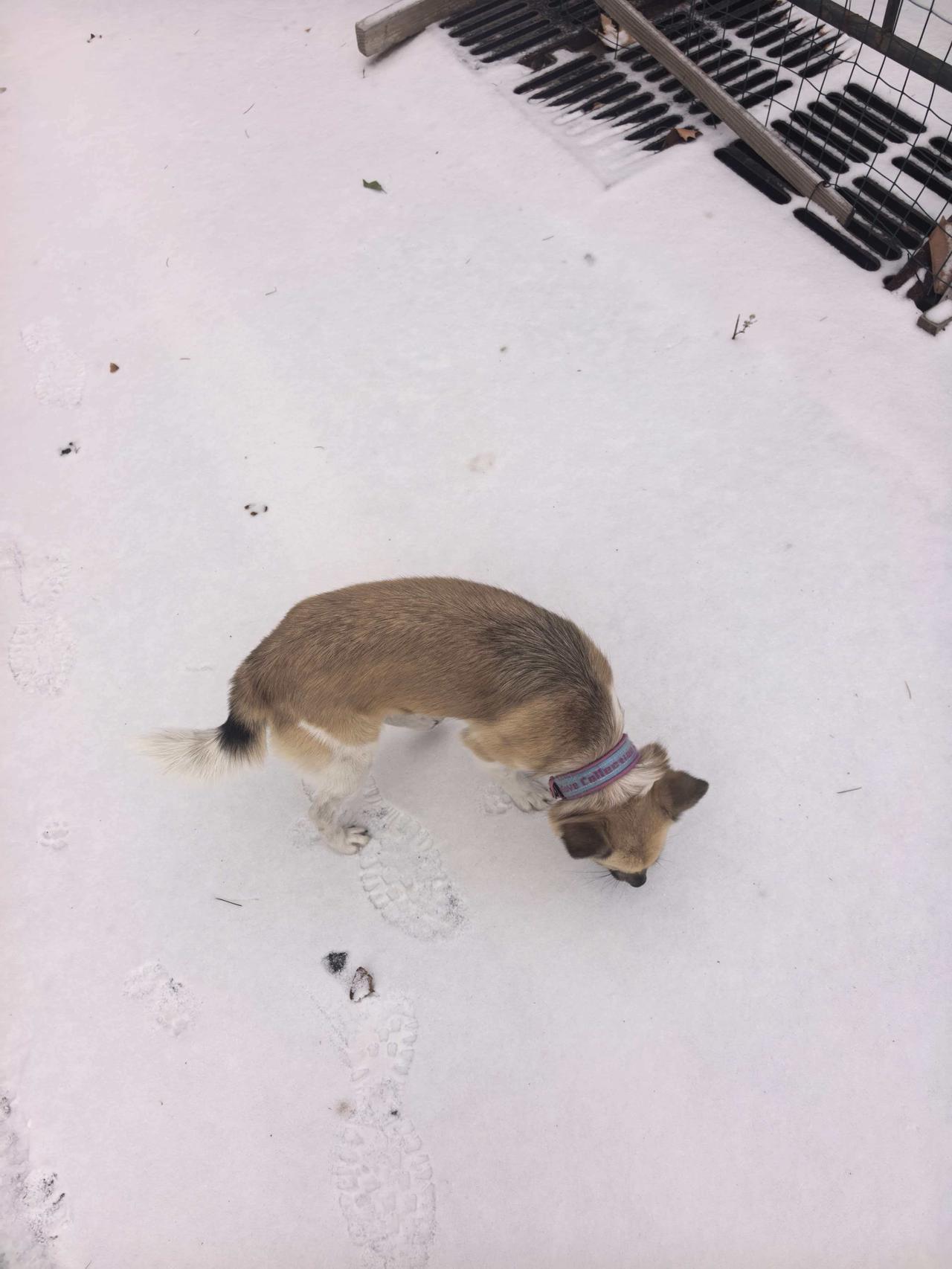 联合国又缺钱，秘书长让中国捐赠10亿，中方送上4个字，别有深意！
量力而行，言简