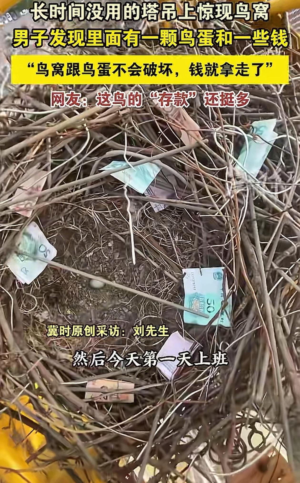 万万没想到！陕西西安，男子很久没上班，塔吊上竟然长出来一个喜鹊窝，可更让男子惊喜