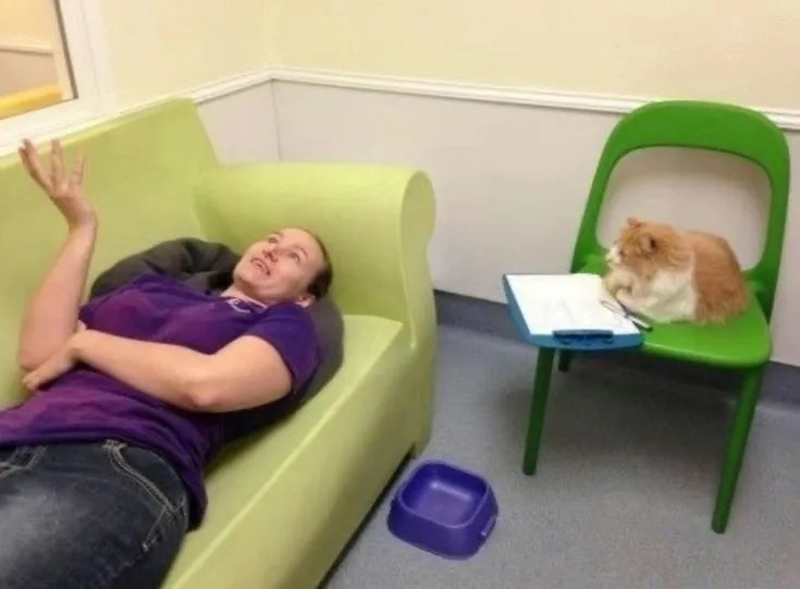 回到家开始跟猫抱怨今天烦心事的我：￼ 