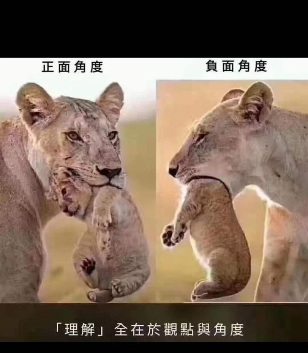 《理解》为何穷？
     小时候听老人说，“医生越老越有钱”。那时不懂这话里的