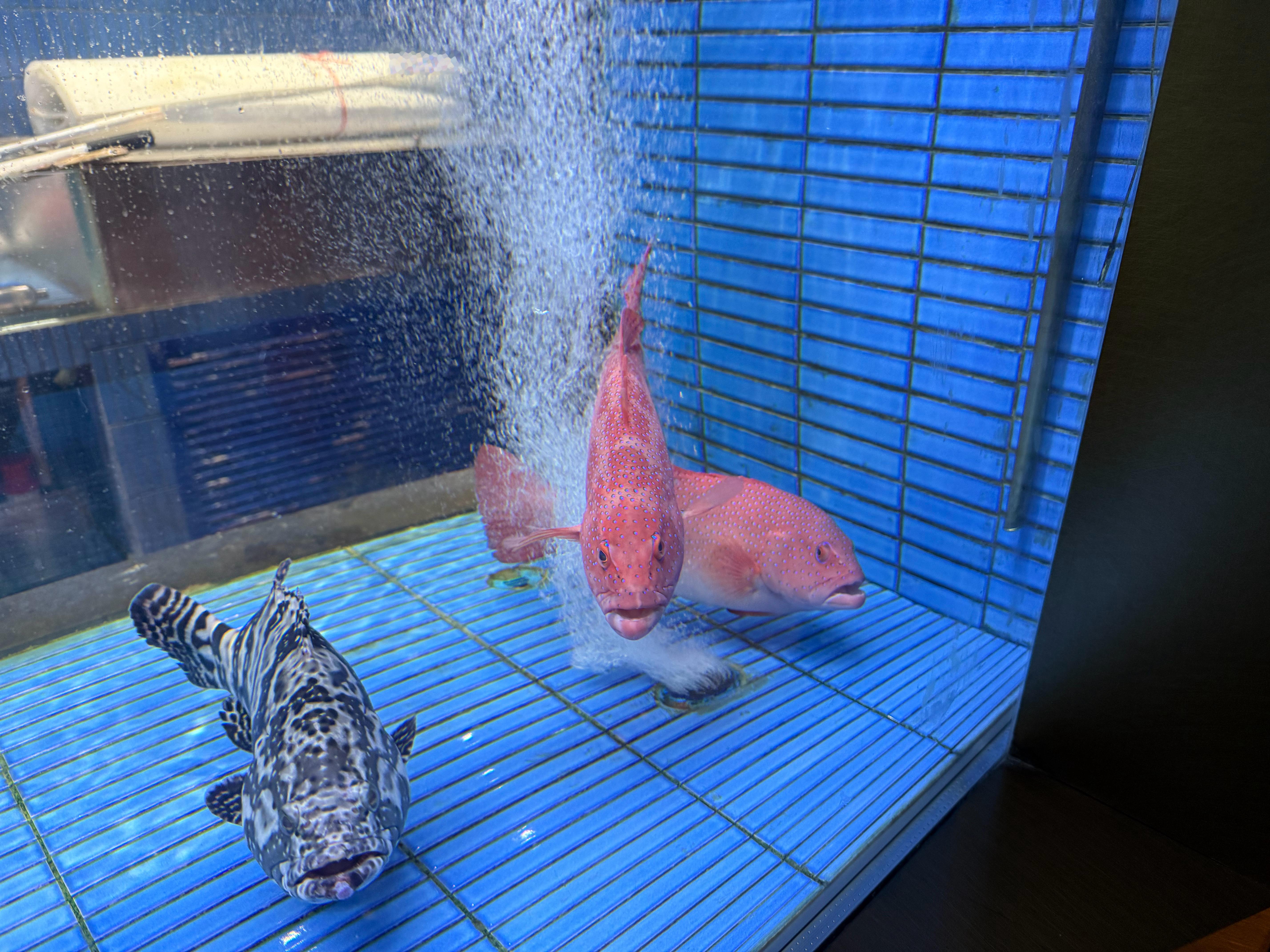 最近我一直在说努力有没有用的问题其实努力肯定是有用的 但是有多大作用 什么时候才