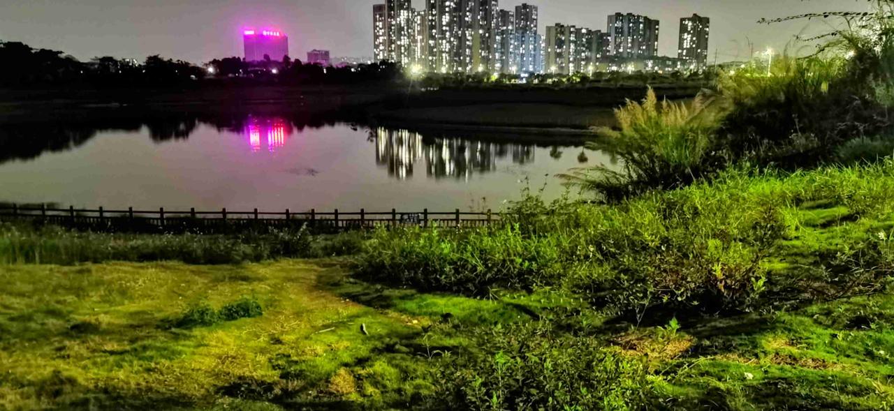 我的今日状态：😁轻松愉快
我这里的天气：☀️晴天
今晚去河边喂蚊子，手都好几个