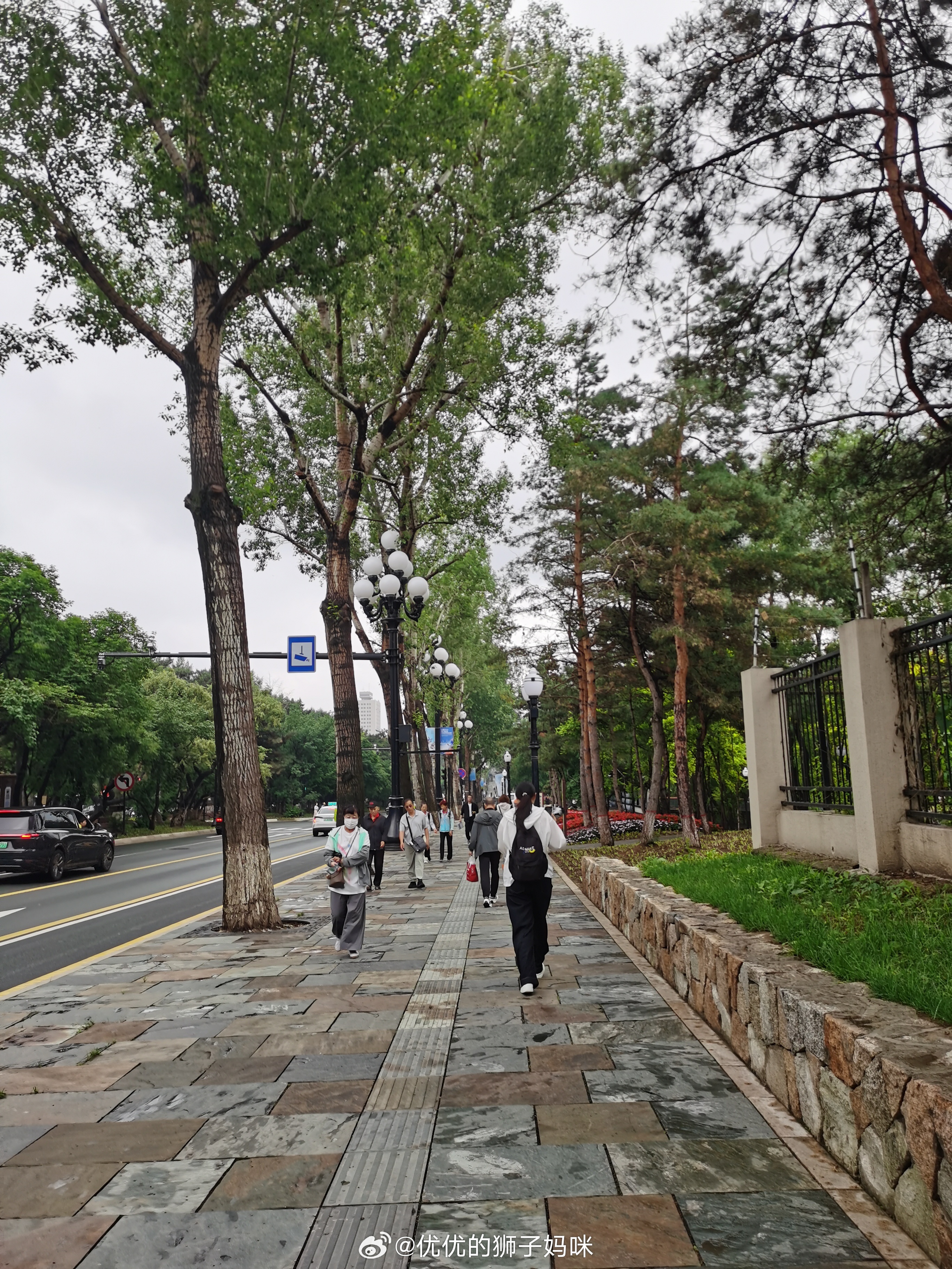 继续捐步做公益，今天的小雨时下时停，雨水把街道清洗得干干净净，路边的鲜花经过雨水