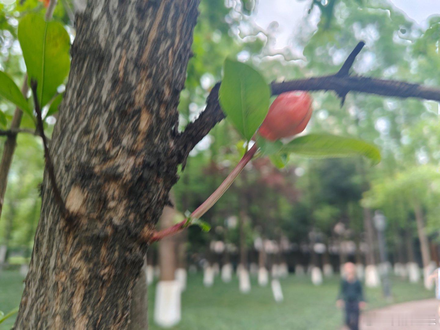 地生亿人万物，粮养千姿百态！ 