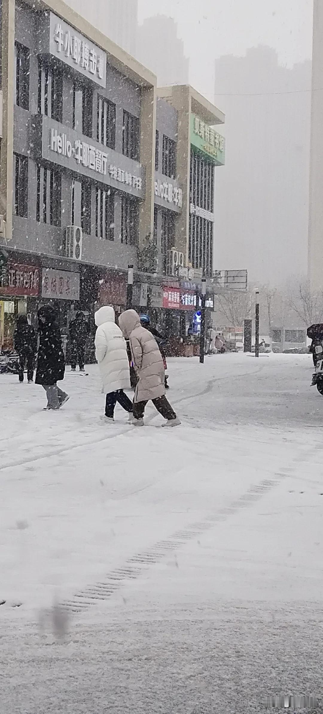 难道你们都不知道昨天的济南也是20℃以上嘛？[比心][比心][比心][比心]从今