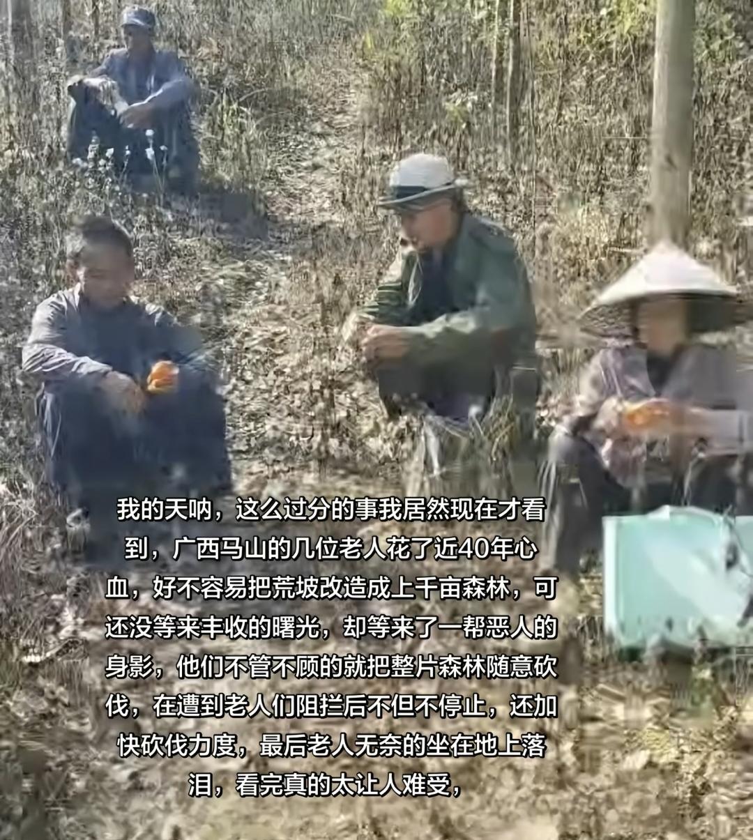 40年造林一夜毁！广西马山老人们的心血，谁来守护？

这么过分的事居然很少有人知