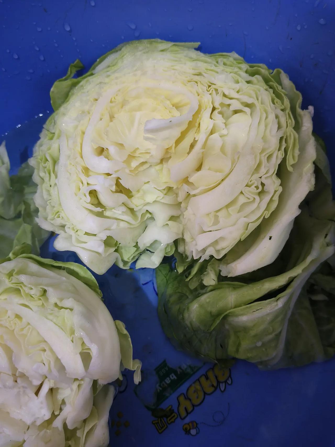 有没有像我一样这么笨的人，活了几十岁不知道包菜怎么撕着又快又省事。

我每次撕包