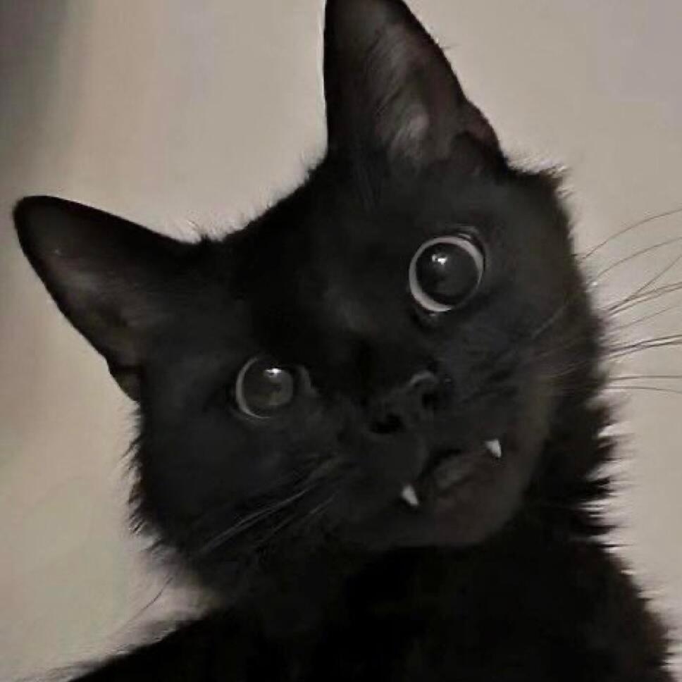 奇怪怎么一股猫🐈‍⬛味 ​​​