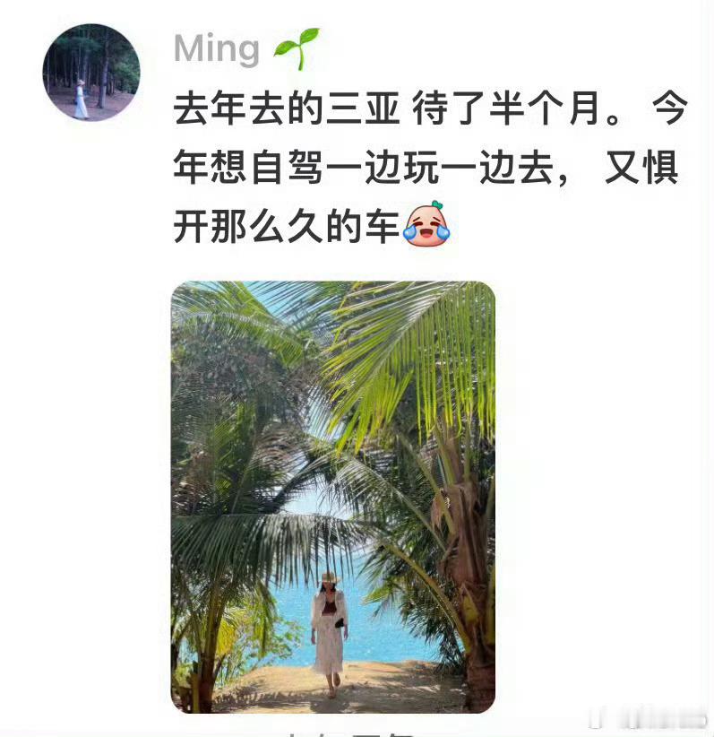 越来越多人都去三亚过年了 好像现在越来越多人会选择去别的地方过年，三亚就是个不错