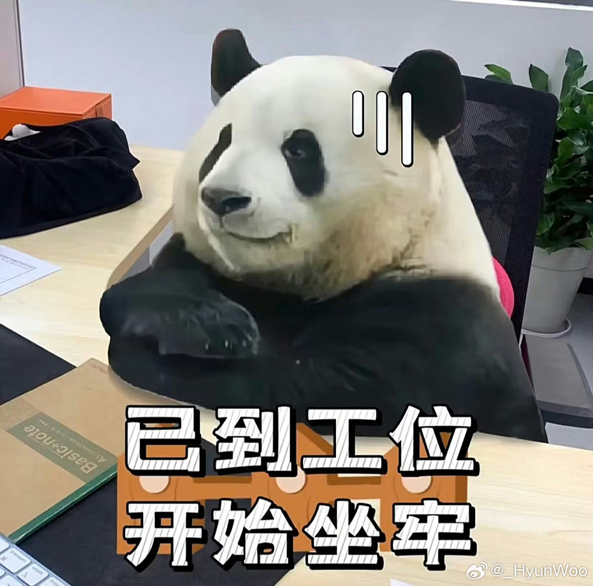 明明昨天早上还在基地看花叶（微笑） ​​​