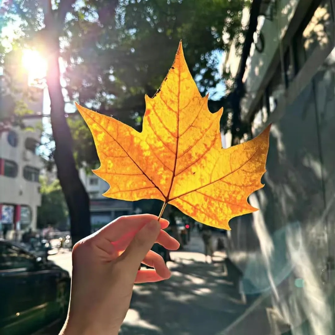 今天状态不错，效率也高。 