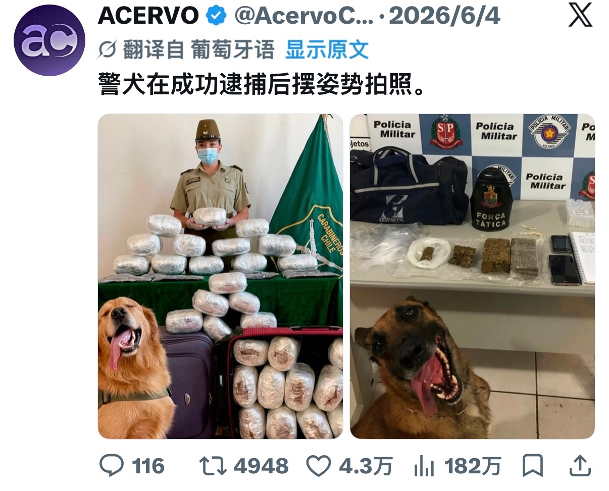 《地球online宣传片》 