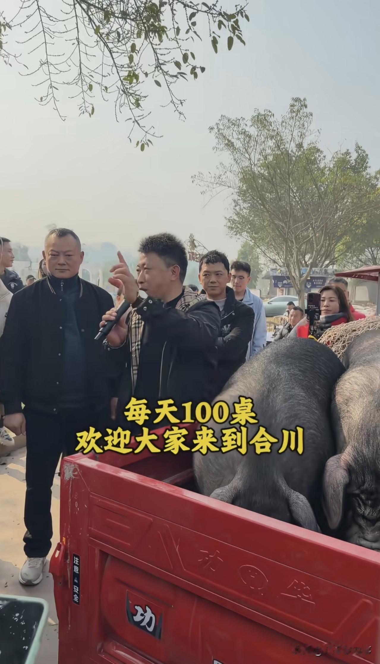 合川刨猪汤的后续来了，呆呆妹这下是真“呆”住了。她年初闯下的这场大祸，哪曾想这“