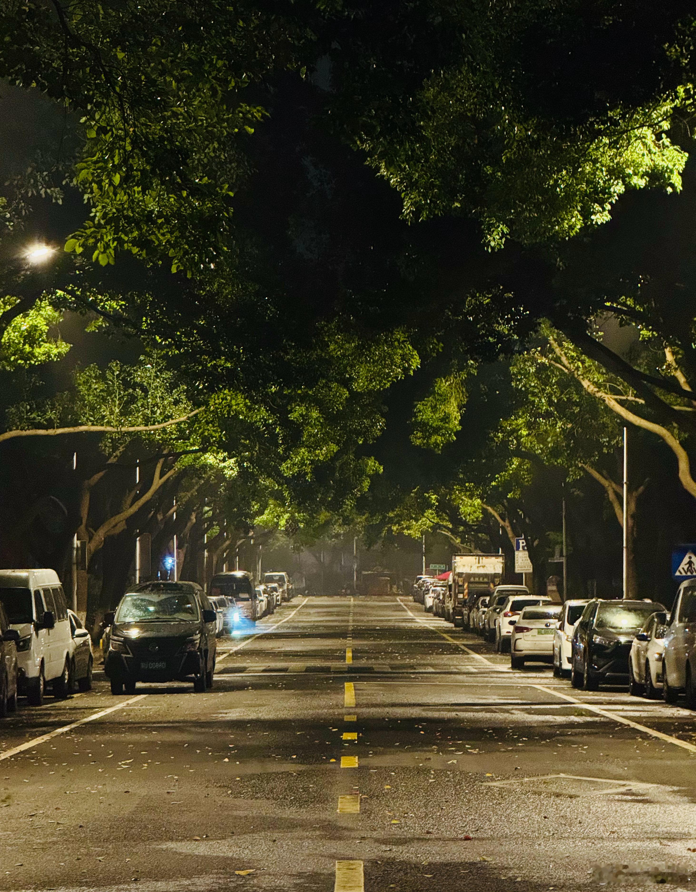分享图片 ​​​