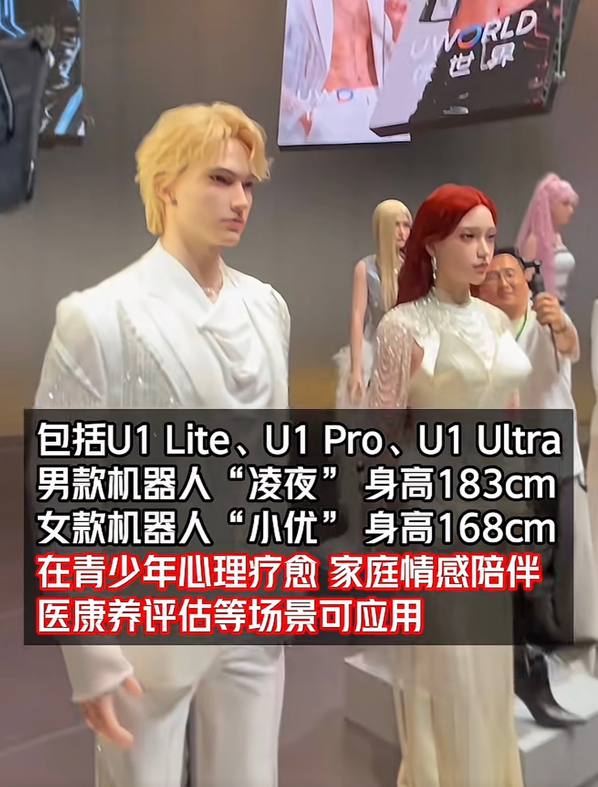 11.98万起步，顶配直奔99万，这哪是买机器人，分明是给孤独标了个价。优必选这