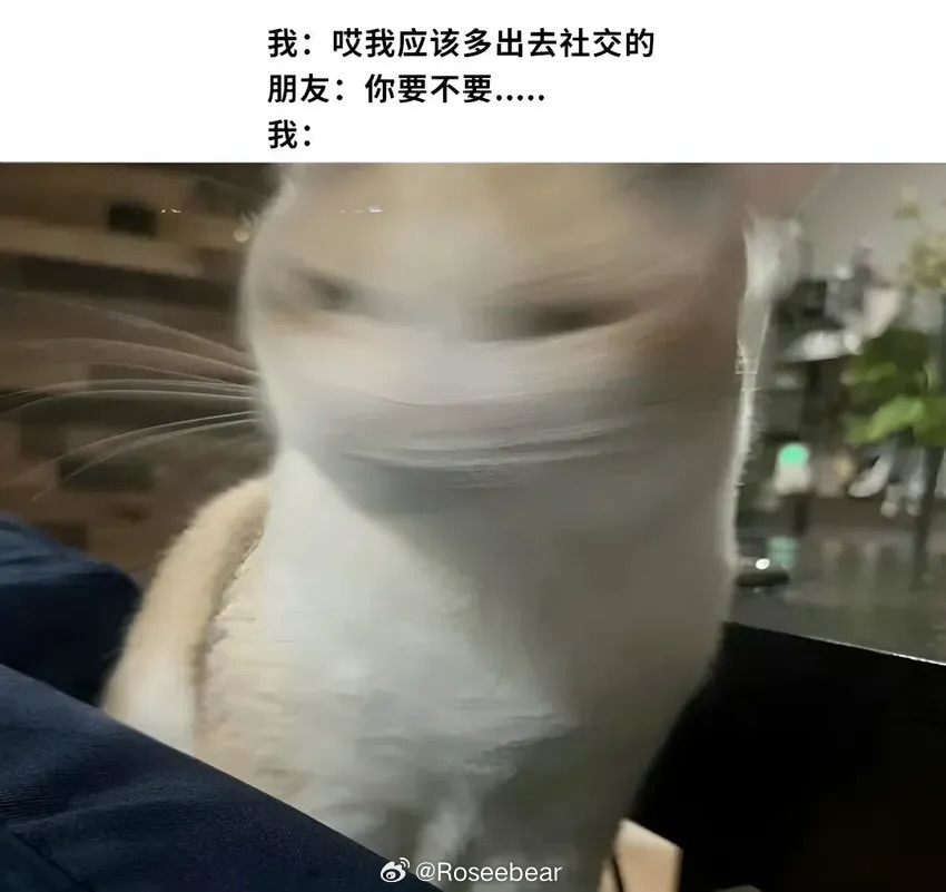 i人摇头 