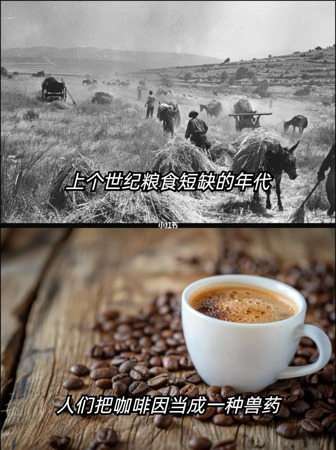 莫名其妙感觉被骂了