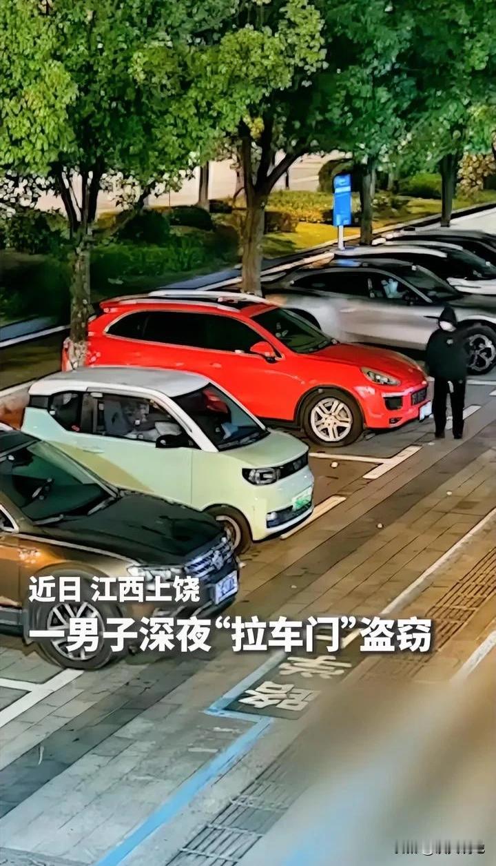 江西上饶一男子深夜街头挨个拉车门，本想顺点东西，谁知竟一把拉开了民警的车门，当场