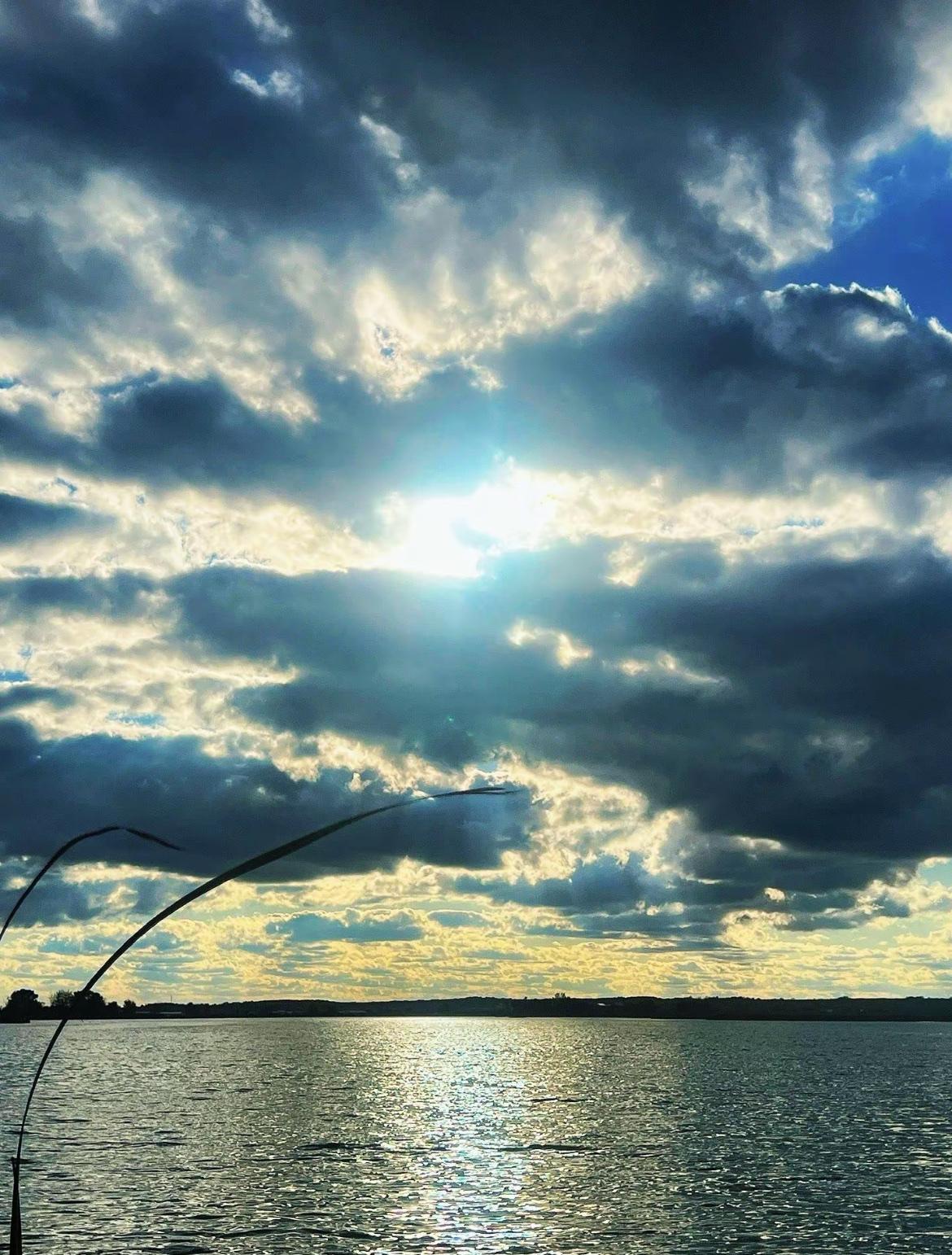 奇松映月伴幽涧

2. 疏竹听雨沐流云

3. 寒梅卧雪沁暗香