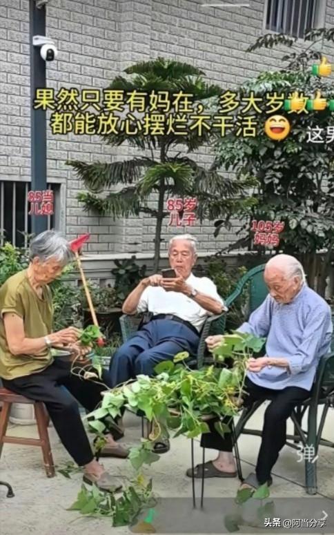 只要老妈在，干活总轮不到儿子的，一个字‘就是玩！