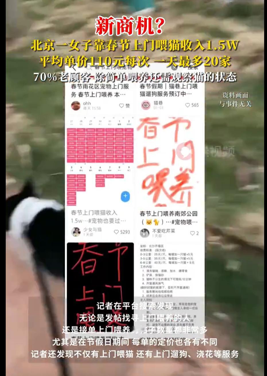 女子上门喂猫110元一次一天20家  媒体就喜欢报道这种新黄色新闻，刺激眼球但根