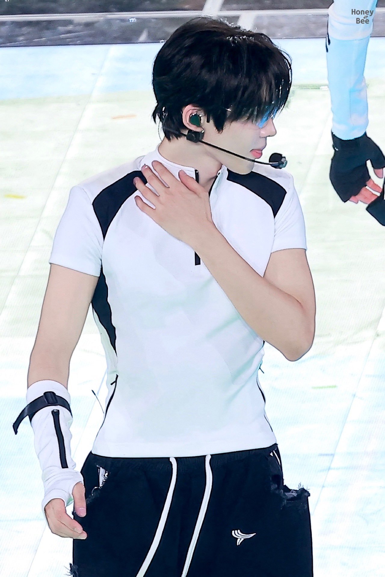 260913©taroxtarte ©HONEY_BEE_1125 ©SouLg