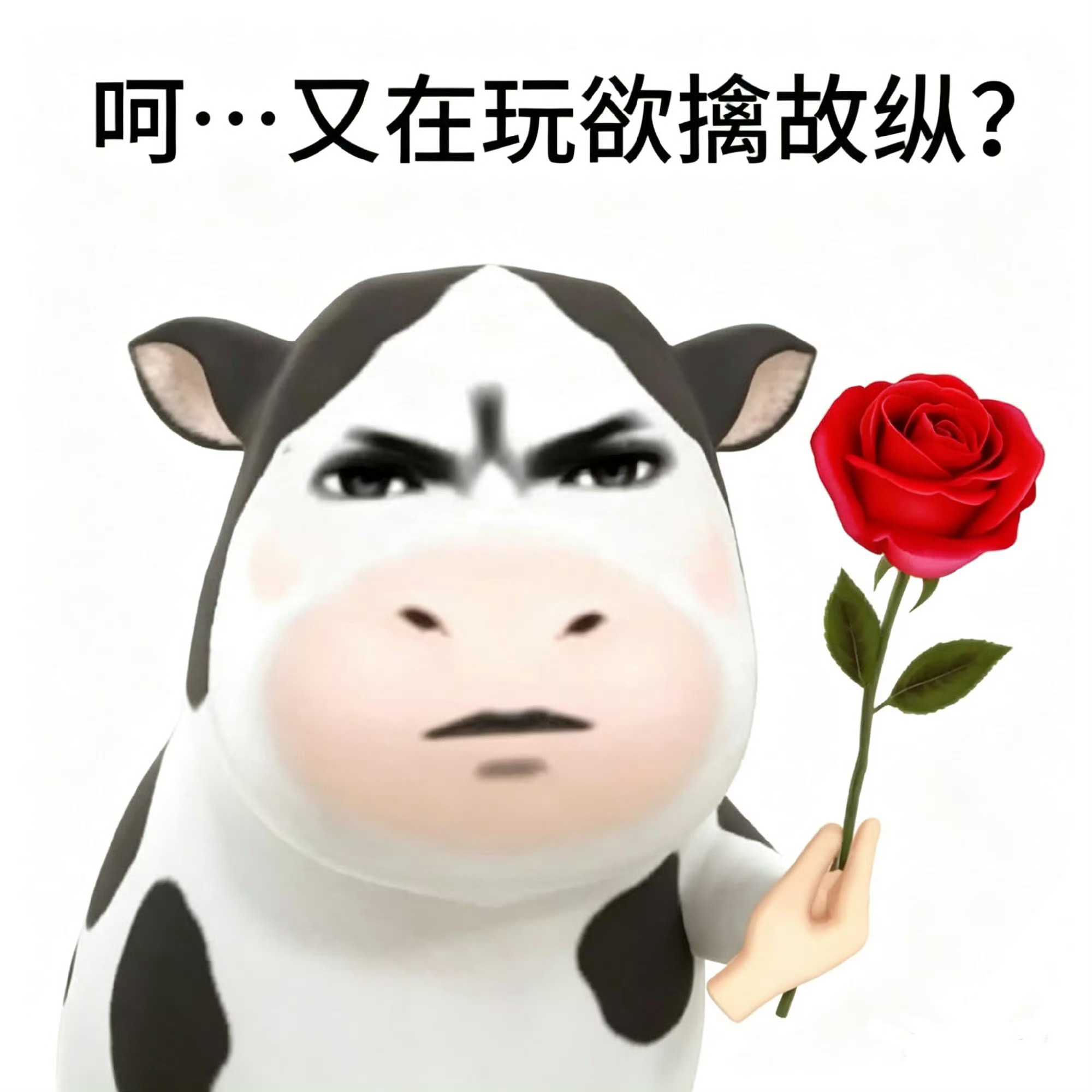 宝宝怎么又来了？你吃饭没？ 记得好好吃饭好好照顾自己啊！ ​​​