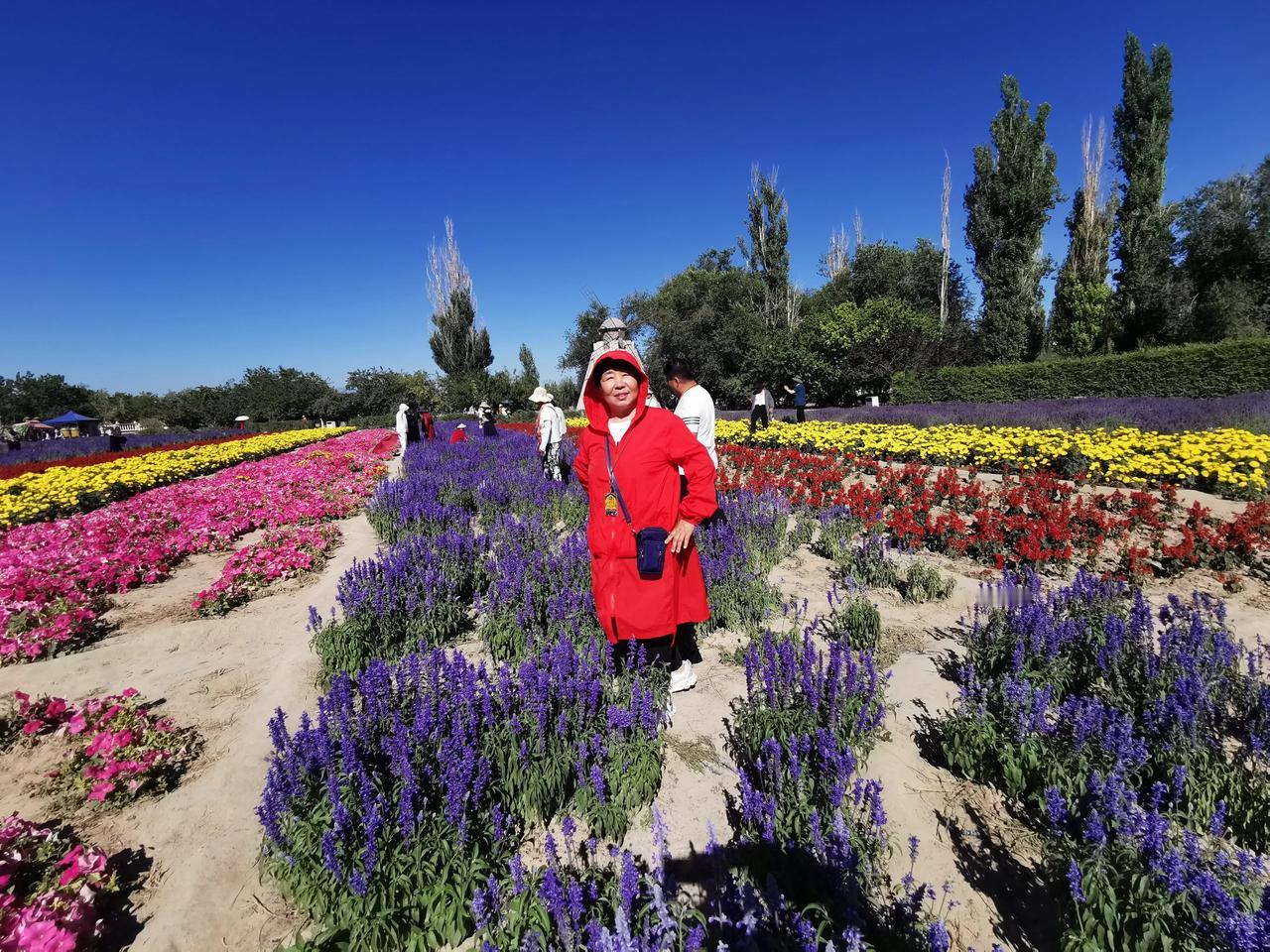 赏璀璨烟火我正在参加天南地北大拜年春节活动，完成任务可瓜分80万元，最高得202